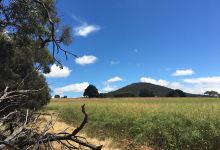 Dundas Range Scenic Reserve景点图片