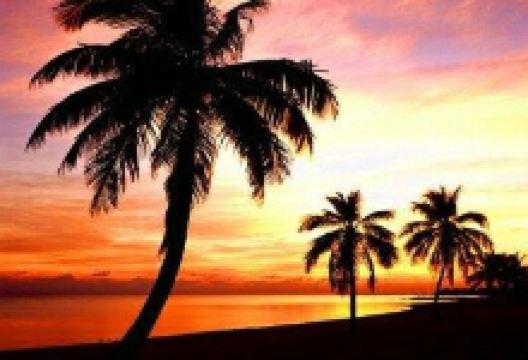 Rajwadi Art Gallery购物图片