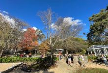 Lazy Ballerina Wines景点图片