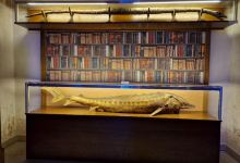 Natural History Museum景点图片
