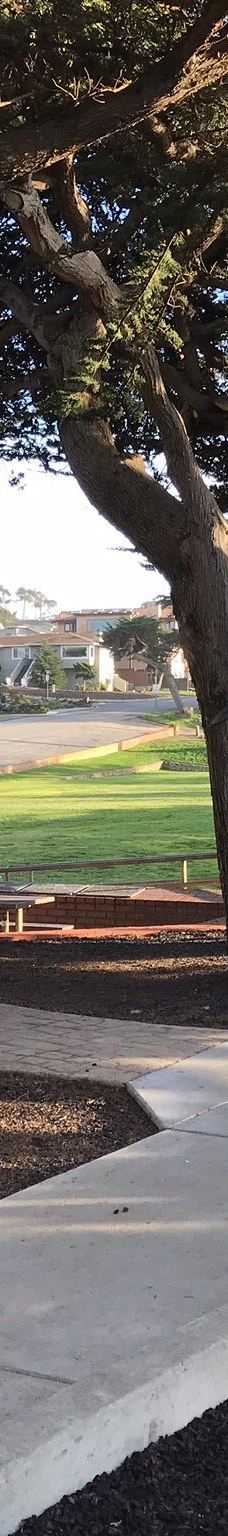 Shamel Park-坎布里亚