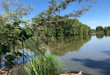 Etang de Boulieu景点图片