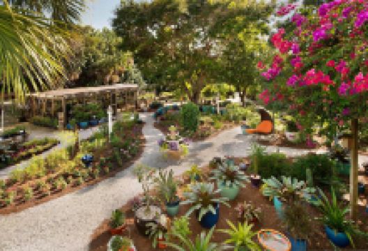 In The Garden景点图片