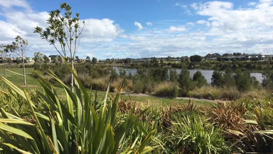 Cascade on Clyde Wetlands