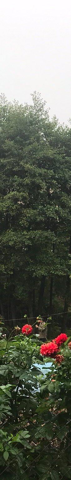 Catholic Cathedral of the Transfiguration-新格鲁多克