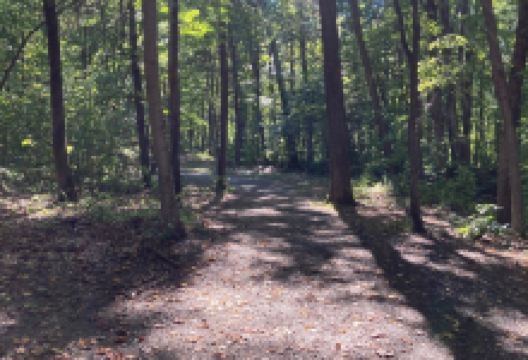 Sega Meadows Park景点图片