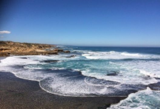 Pearses Beach景点图片