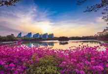 双岩公园景点图片