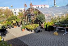 Stodoła. Centrum rolniczo - ogrodnicze购物图片