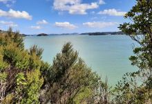 Opua to Paihia Walkway景点图片
