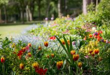 Trowbridge Information Centre景点图片