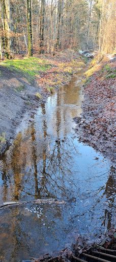 Wildgehege Marienhölzung-弗伦斯堡