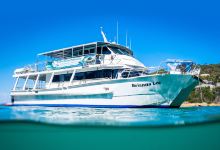 Wildlife Coast Cruises - Wilsons Promontory景点图片