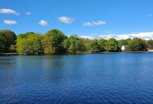 Harold Park景点图片