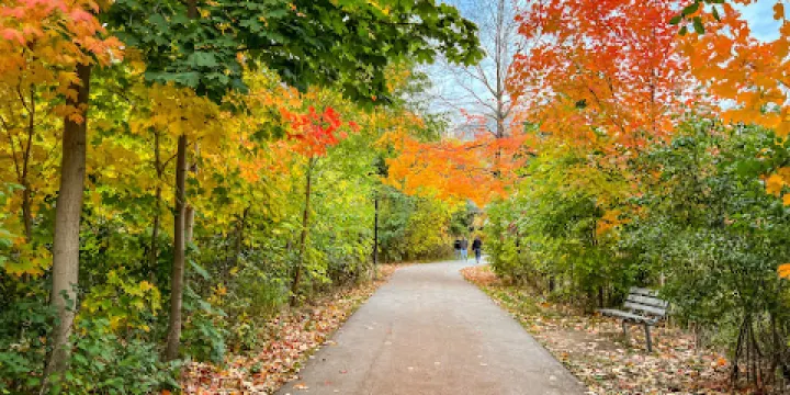 Mississauga Valley Park