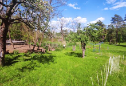 Ferienland Luhme景点图片