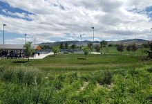 Wardle Fields Regional Park景点图片
