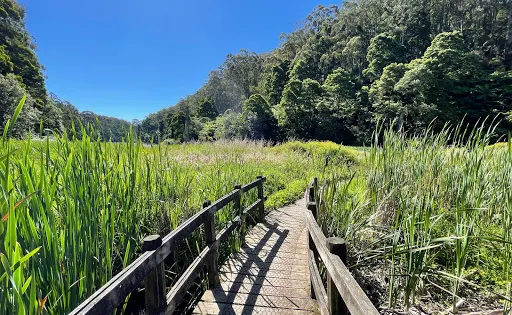 伊麗莎白湖