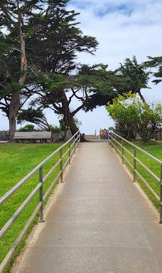 Shamel Park-坎布里亚