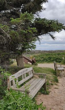 Kongestenen ved Mårup Kirke-约灵
