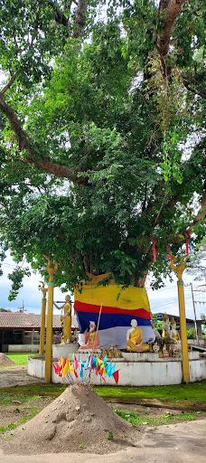 Wat Phra Phutthabat Wern Pla-塔乌廷