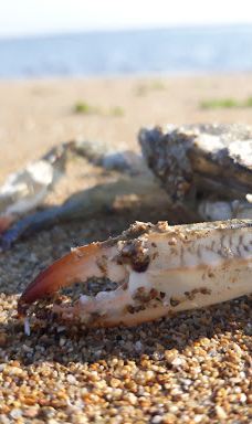 Ghadir Park-阿巴斯港