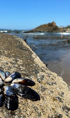 Fogarty Creek Beach-林肯县