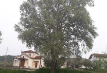 Chiesa di San Pantaleone景点图片