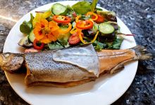 Arc-en-Ciel Trout Farm | Nundle Smokehouse | The Drunken Trout Café景点图片