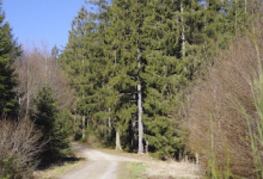 Goldwaschanlage Montenau景点图片