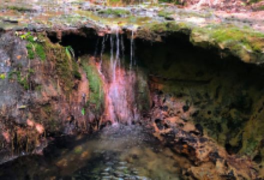 Dunkirk District Park景点图片