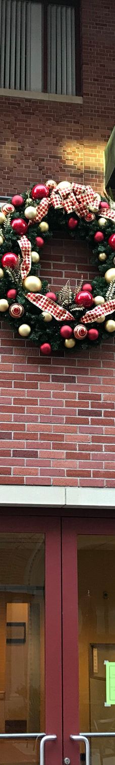 南加州大学-洛杉矶