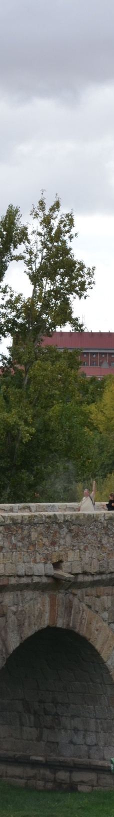 罗马古桥-萨拉曼卡