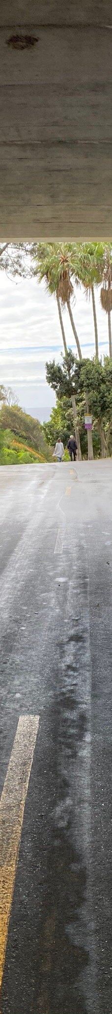 Salt Creek Beach-达纳点