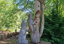 Wolfspark Werner Freund景点图片