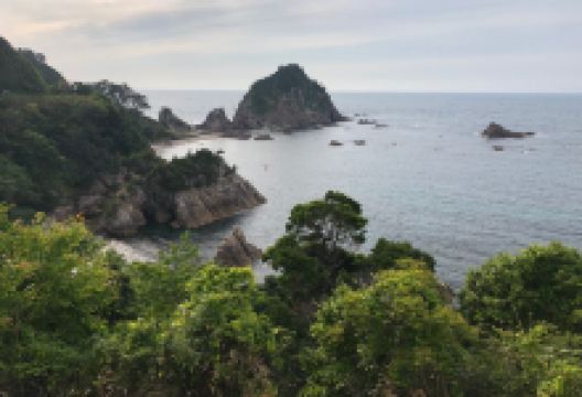 菜种岛景点图片