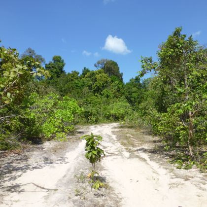 越南富国岛6日5晚跟团游