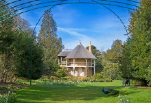 Swiss Garden景点图片