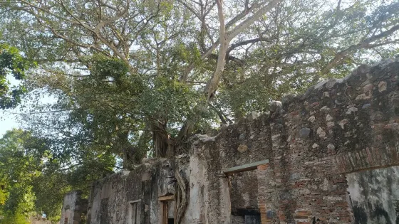 Cortés House