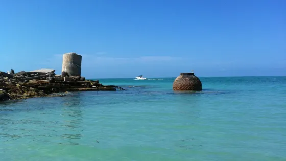 Dolphin Landings Charter Boat Center