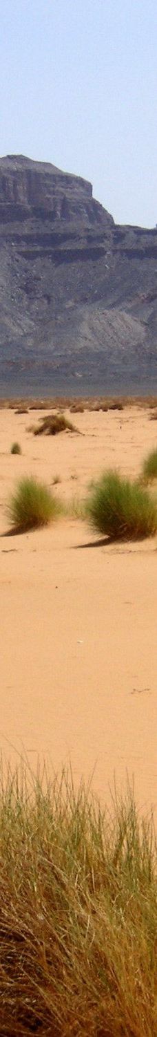 艾卡库斯沙漠-加特