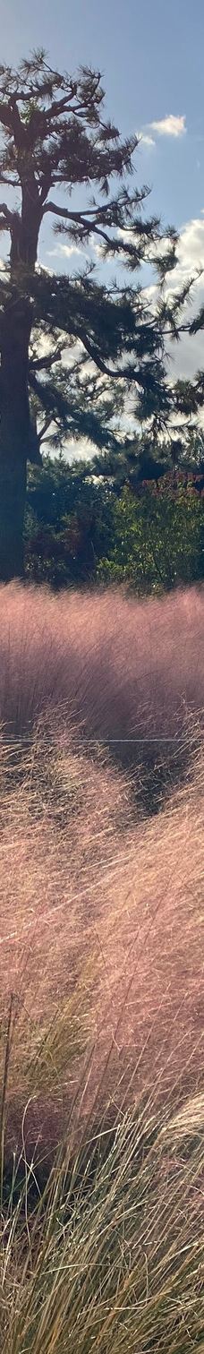 休爱里自然生活公园-西归浦市