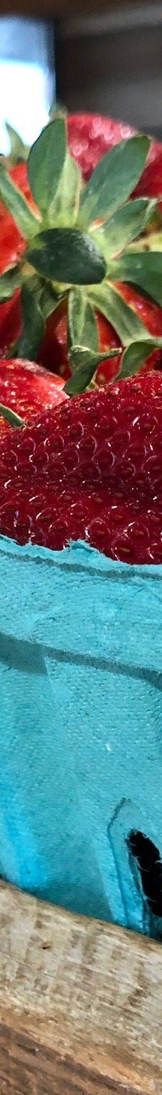 Southern Belle Farm-麦克多诺