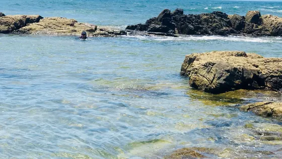 Praia Busca Vida