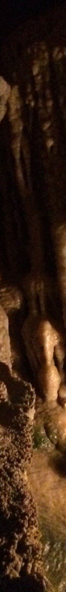 Ngarua Caves-Takaka Hill