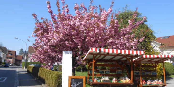 Aquamarin Wasserburg am Bodensee