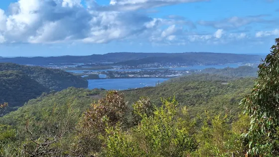 Staples Lookout