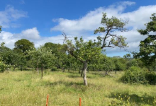 Hunt's Cider景点图片