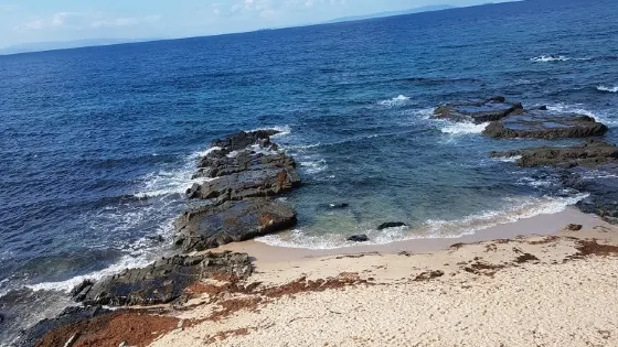 Punta Paloma