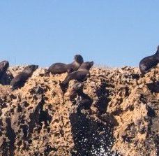 Streaky Bay Islands Caravan Park-斯特里基湾